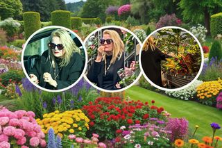 Wystrojona jak dama Szapołowska buszuje w sklepie ogrodniczym. Te roślinki kosztują majątek