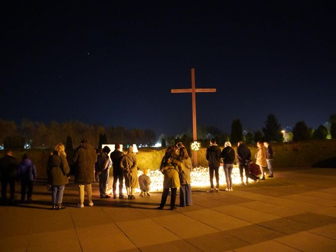 Cmentarz Komunalny w Żorach mieni się nocą. Tysiące kolorowych światełek na Wszystkich Świętych. Zobacz zdjęcia z lotu ptaka