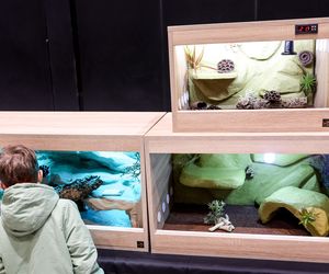 Targi egzotyki w Katowicach