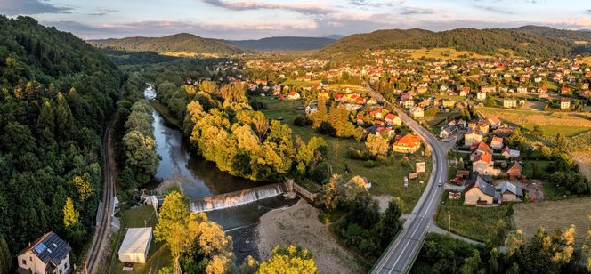 Świnna