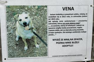 Schronisko dla Zwierząt w Olsztynie