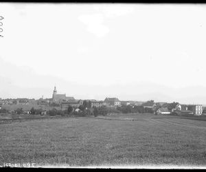 Żory 