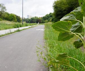 „Heloł Lublin”. Burzowa atmosfera w Parku Rury. Zobacz ZDJĘCIA