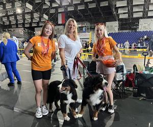 ​XXVII Międzynarodowa Wystawa Psów Rasowych - POMERANIA SHOW
