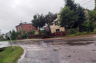 Skutki burz na Śląsku. Wiatr połamał drzewa, woda zalała domy