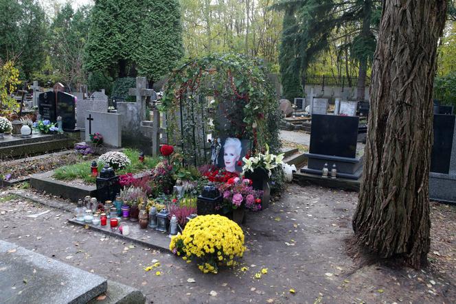 Groby znanych. Ścibor-Rylski, Kłosowski, Wachowicz, Jackowska