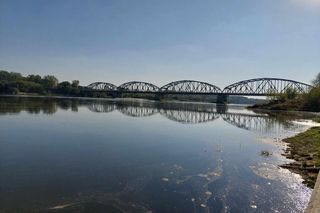 Wisła w Fordonie wyraźnie przybrała i przyspieszyła. Duża woda niesie mnóstwo śmieci i zanieczyszczeń