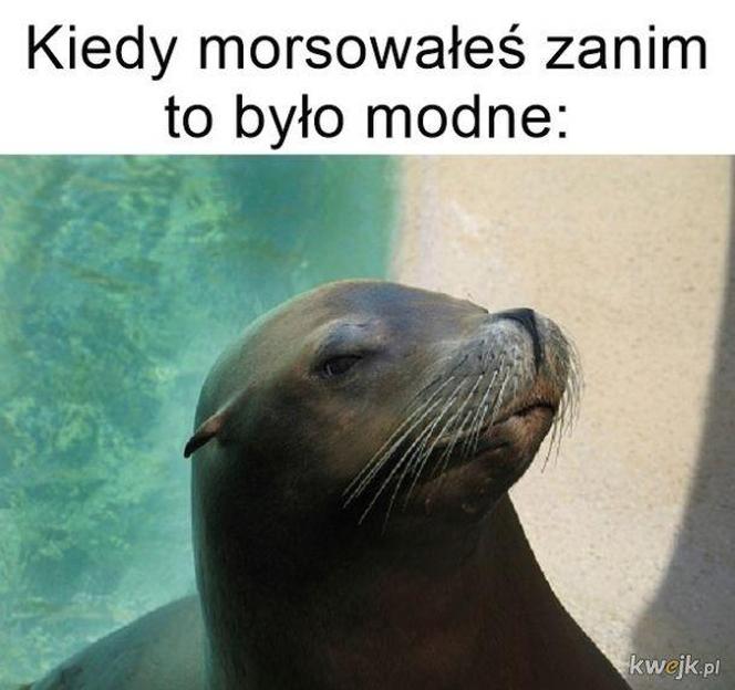 Najlepsze memy o morsowaniu na rozpoczęcie sezonu! Uśmiech gwarantowany 