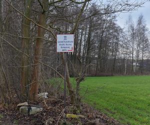 Trwa budowa wielkiego pomnika Matki Boskiej. Sprawdziliśmy postępy