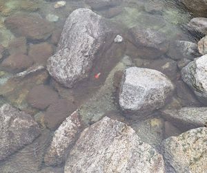 Morskie Oko zaśmiecone jak nigdy. To sprawka turystów. TPN opublikował zdjęcia.