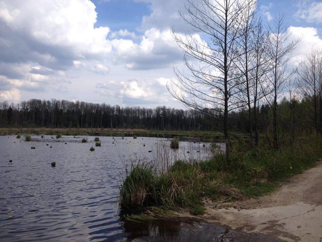 Miejsce na spacer blisko Białegostoku