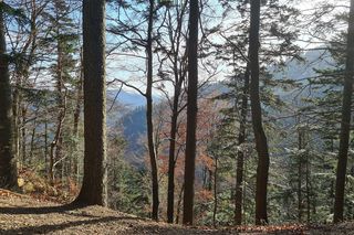 AI wybrała najlepsze miejsce na jesienny weekend w Małopolsce. Dla podróżników jest kultowe!