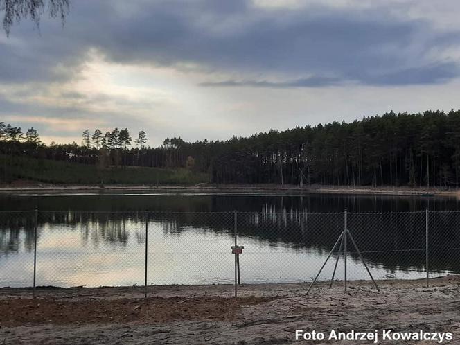 Jezioro Wielkie Oczko ogrodzone płotem. Zwierzęta odcięte od wody. Radny Gdańska: "Takiej dewastacji dawno nie widziałem"