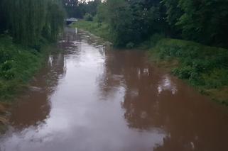 Krajobraz po burzach i ulewach na Śląsku i w Zagłębiu. Zalało ulice Czeladzi, Bytomia, Rudy Śląskiej [ZDJĘCIA,WIDEO]