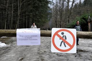 Halny w Tatrach. Połamane drzewa, uszkodzone domy