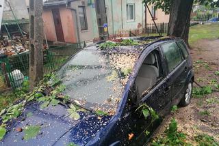 Drzewo przygniotło auto! Gdzie są burze w Płocku i okolicach?