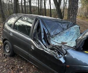 Wypadek na DK 10 w Solcu Kujawskim! Osobówka wypadła z drogi i uderzyła w drzewo [ZDJĘCIA]