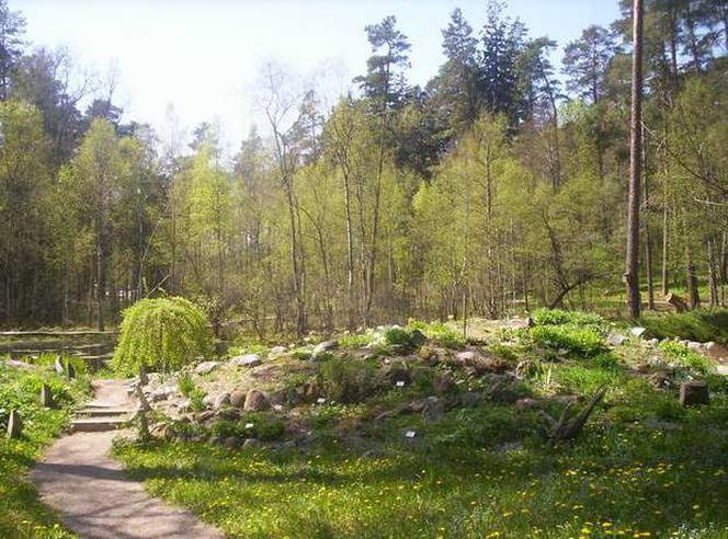 Tajemniczy ogród na Warmii. Tu warto wybrać się na jesienny spacer [ZDJĘCIA]