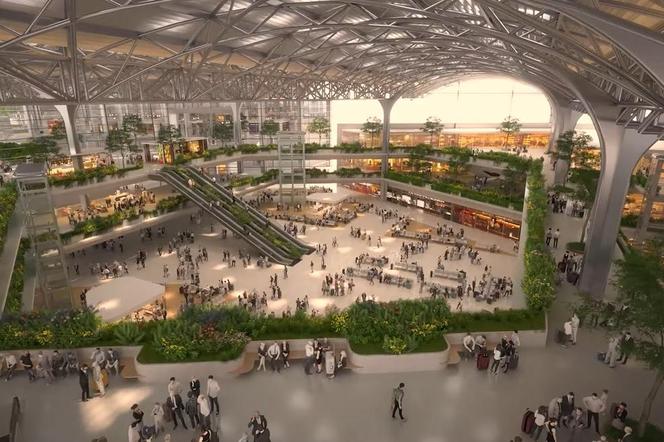 Historia sukcesów pisanych faktami