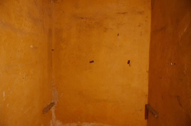 Nasz Nowy Dom znów na antenie Polsatu, odc. 1