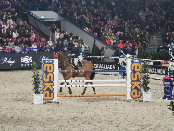 Cavaliada na Torwarze 2025