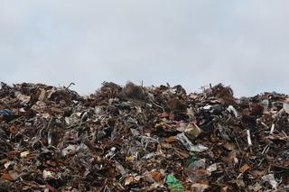 Ile zapłacimy za wywóz śmieci w Tarnowie? Radni podjęli decyzję
