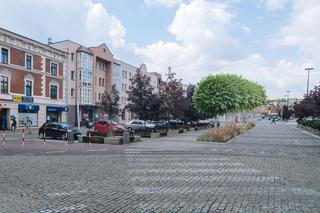 Rynek - wizualizacja nowych drzew