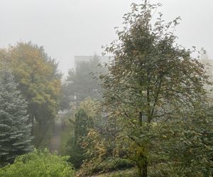 Gęsta mgła w Łodzi. IMGW informuje o złych warunkach pogodowych w regionie