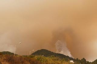 Pożary na Teneryfie. Ewakuowano 7 tys. osób