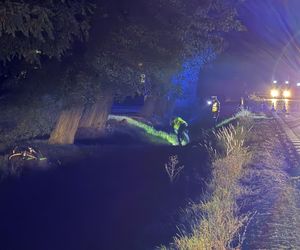 Śmiertelne potrącenie pod Sochaczewem. Kierowca BMW uciekł