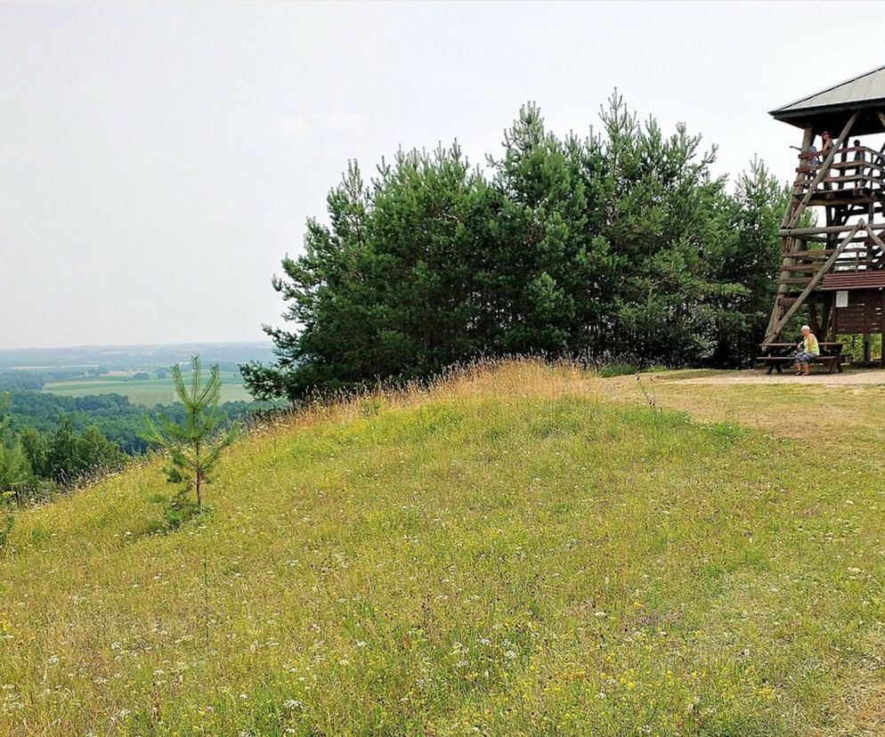 Wyjątkowe miejsce na mapie Podlasia! Najwyżej położony punkt w regionie