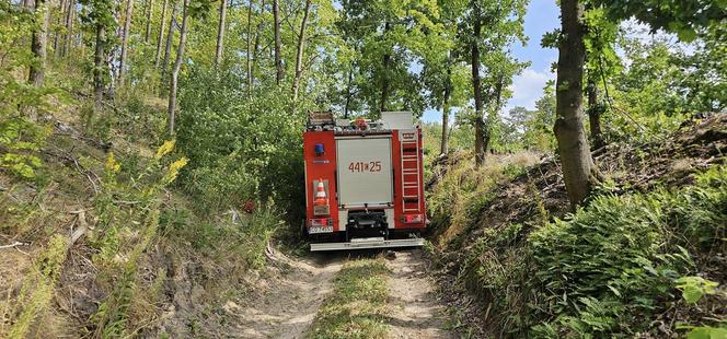 Ciągnik przygniótł 60-latka w lesie! Tragiczna śmierć pod Grudziądzem