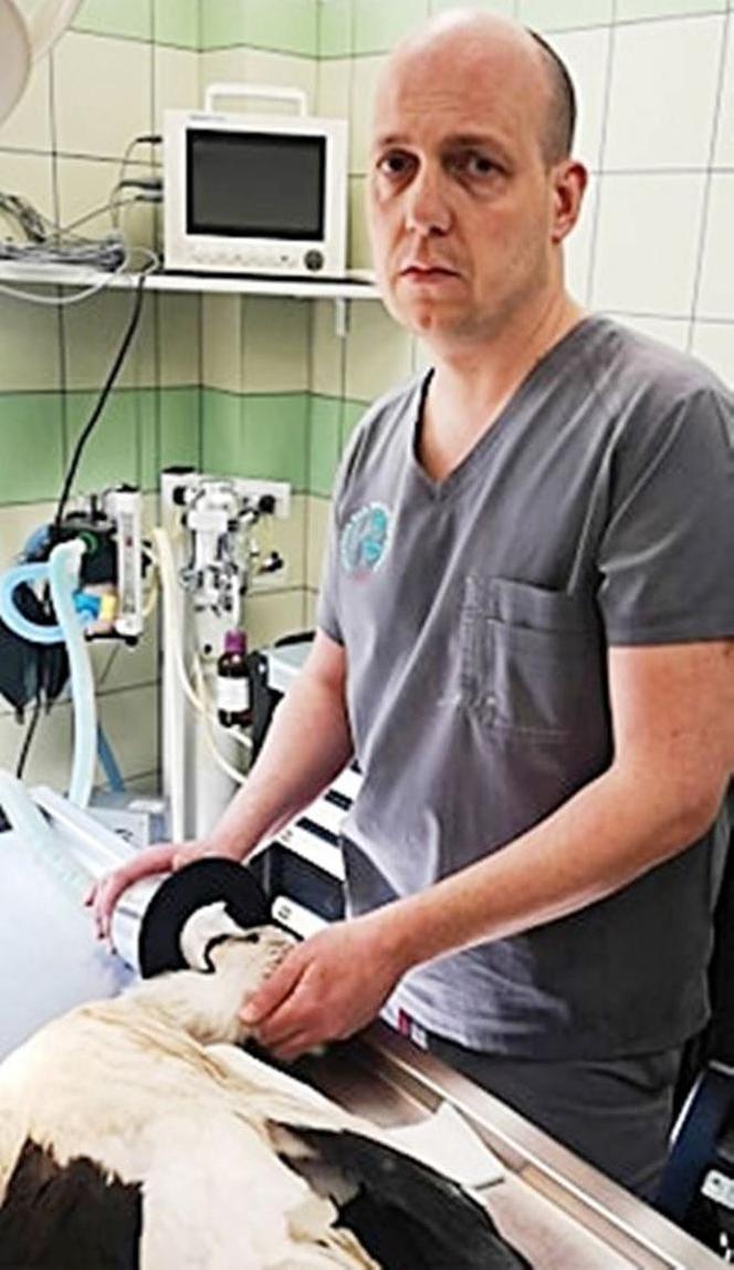 Operacja bociana Zuzi w Przemyślu