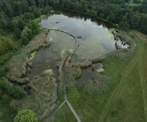 Magiczne miejsce godzinę drogi od Wrocławia. Niewielu turystów tu trafia 