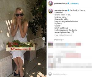 Pamela Anderson została kucharką! Wielkie zmiany w życiu gwiazdy