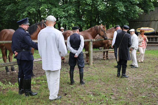 Jarmark koński w Muzeum Wsi Lubelskiej