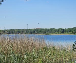 Było, zniknęło i... powróciło. Zobacz magiczne jezioro Track na obrzeżach Olsztyna [ZDJĘCIA]