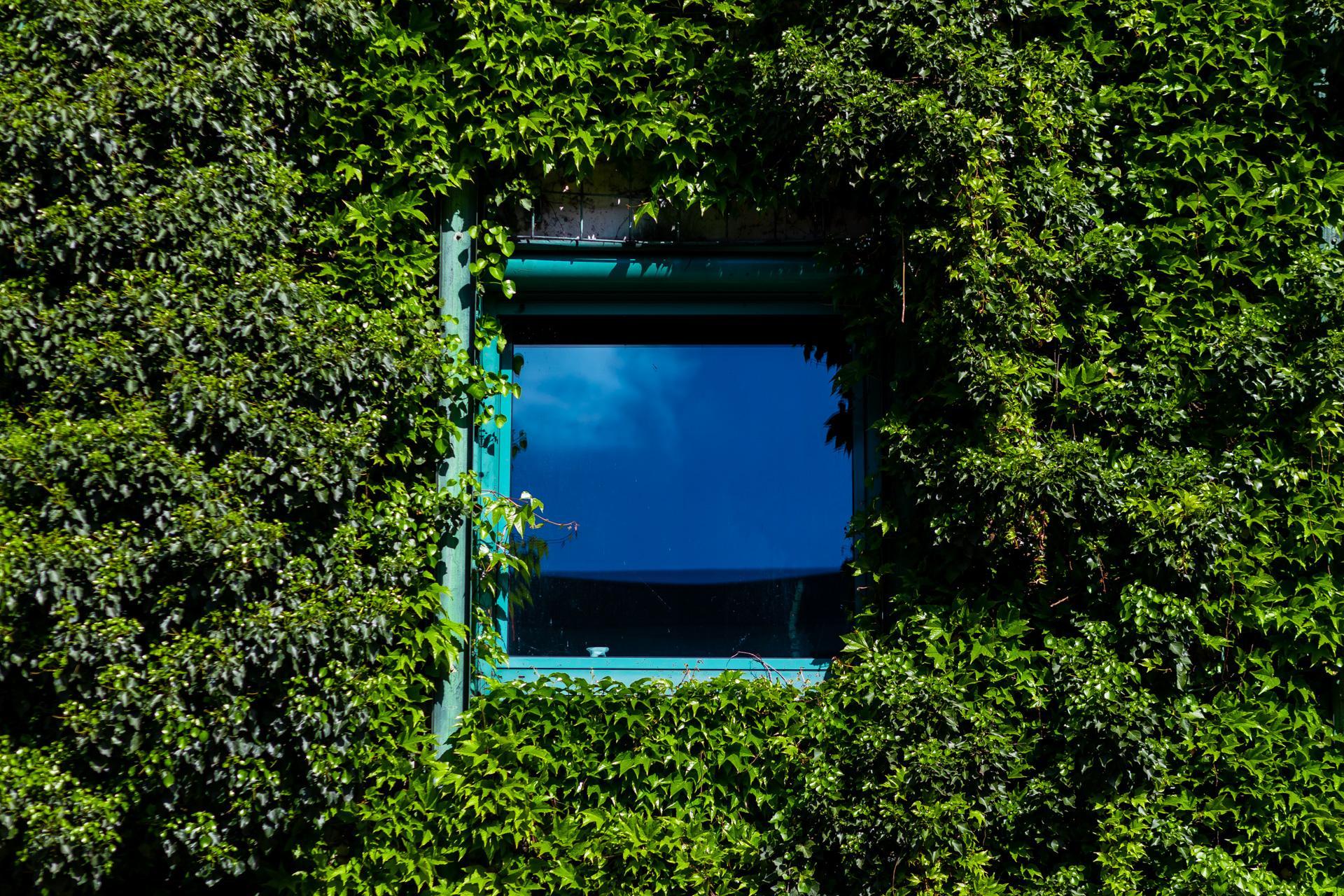 Biblioteka Uniwersytecka w Warszawie - zdjęcia. Zobacz postmodernistyczną ikonę, którą kiedyś uznawano za kicz