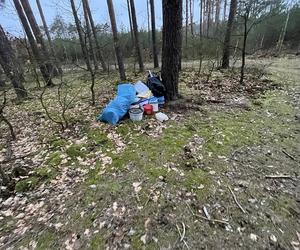 Gorzów: Śmieci w lesie. Ktoś zostawił po sobie ślad?
