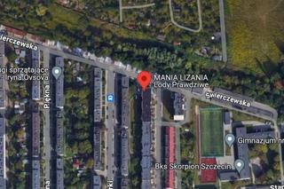 Lodziarnie w Szczecinie 