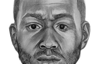 Strateg Trumpa nie przyznaje się do winy