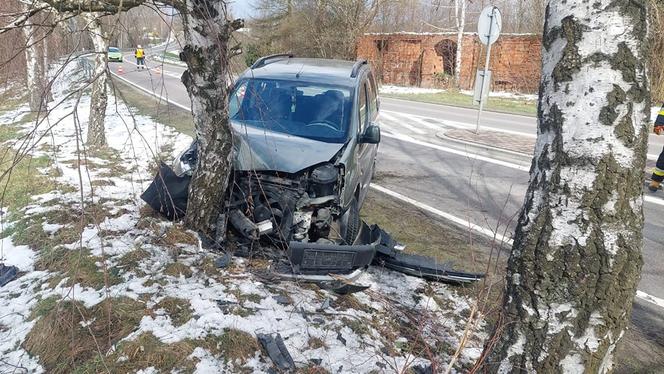 Zabłędza. Osobówka uderzyła w przydrożne drzewo na DW 977 