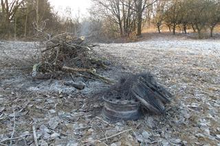 Szczecińscy strażnicy miejscy zatrzymali kolejnego truciciela