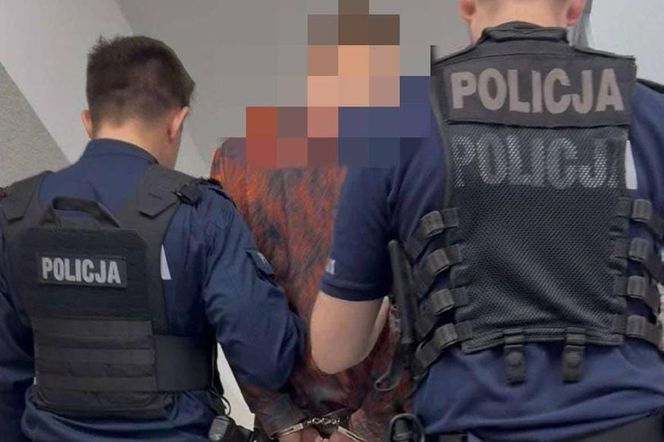 Uderzył policjanta butelką. Atak podczas Dni Gostynia 