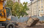 Przesadzanie drzew z placu Powstańców Warszawy