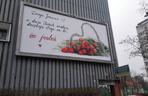 Wrocławianie wyznaja uczucia na billboardach