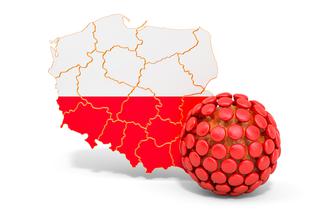 W których regionach Polski padnemia wygasa? Mamy wykres, który to obrazuje