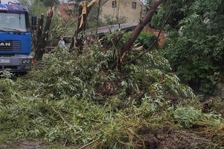 Podtopienia w Gminie Świdnica