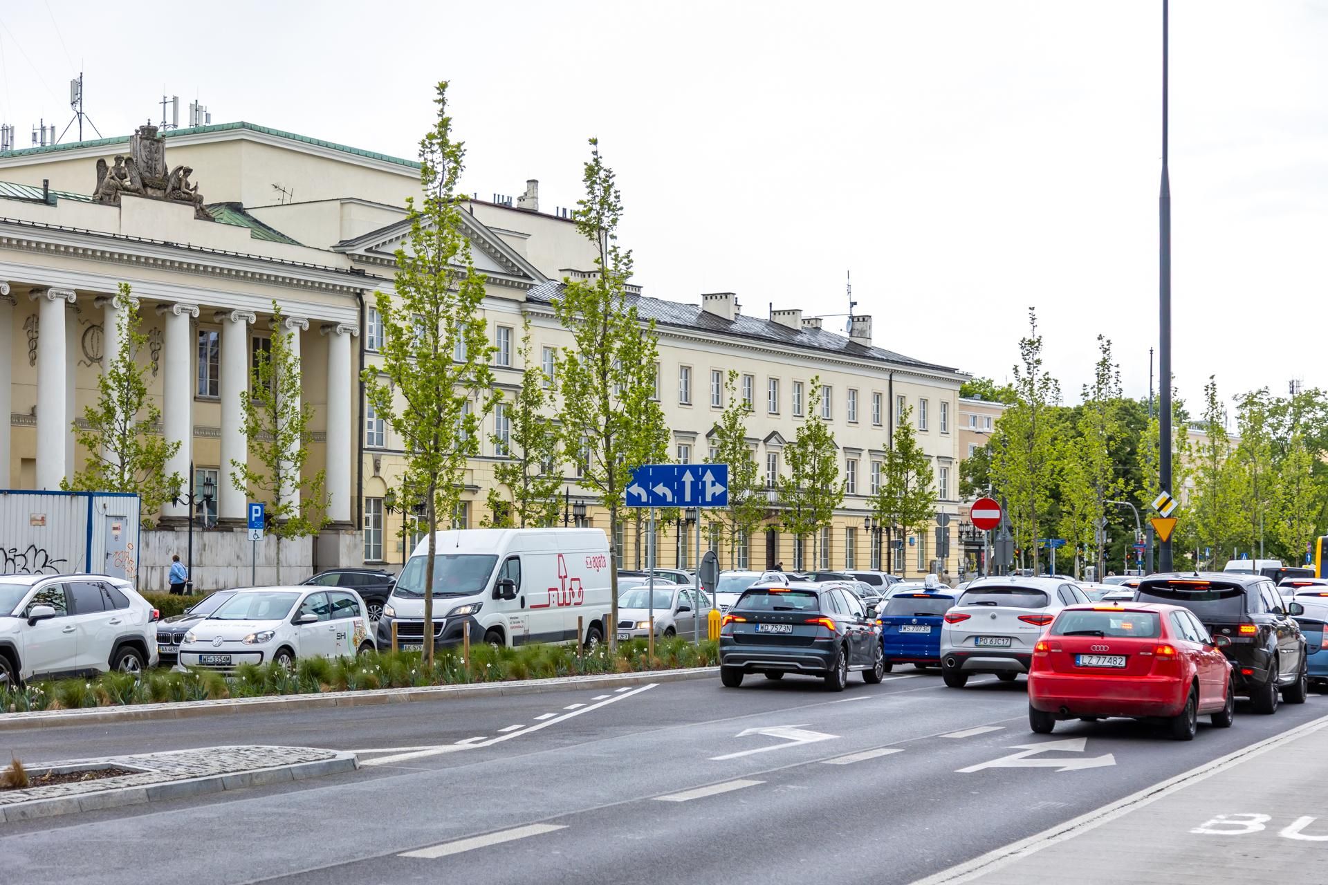 Sadzenie zieleni na placu Bankowym w maju 2025 r.