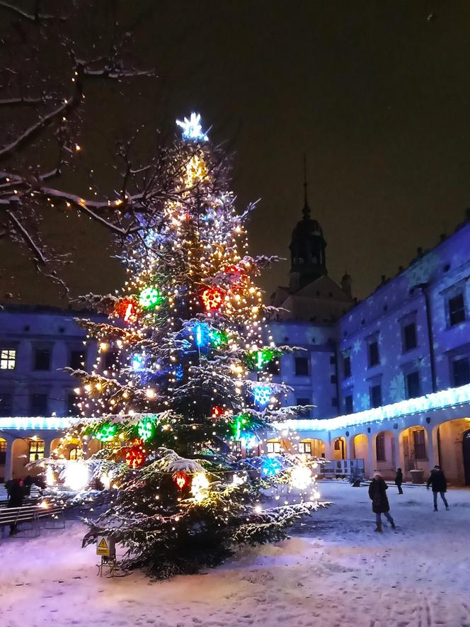 Świąteczne iluminacje na Zamku Książąt Pomorskich